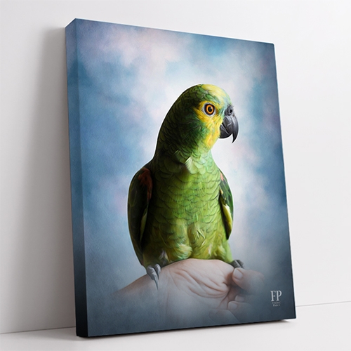 Show details for Wrapped Canvas Memorial Portrait - Cherished Bird with Studio Background Show details for Wrapped Canvas Memorial Portrait - Cherished Bird with Studio Background