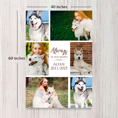 Show details for Always In Our Hearts Pet Photo Collage Blanket