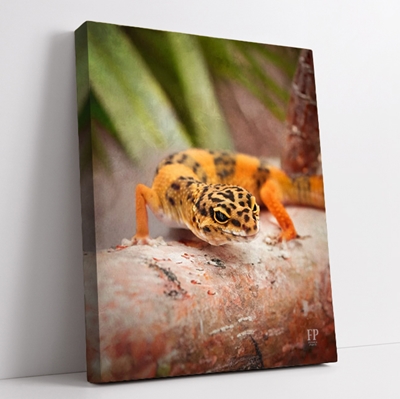 Show details for Wrapped Canvas Memorial Portrait - Serene Lizard with Choice of Backgrounds