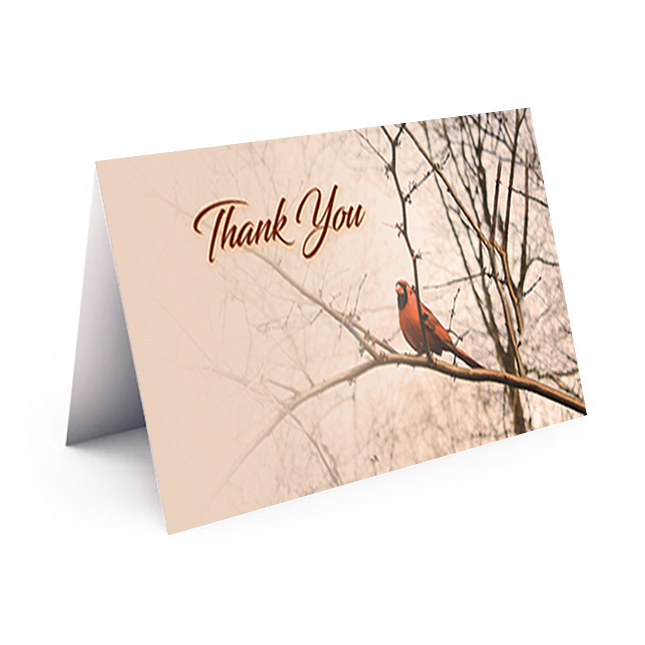 Show details for Cardinal Thank You Card