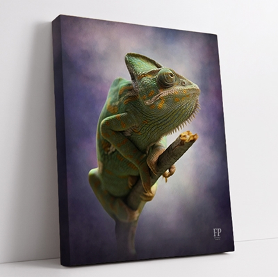Show details for Wrapped Canvas Memorial Portrait - Serene Lizard with Choice of Backgrounds