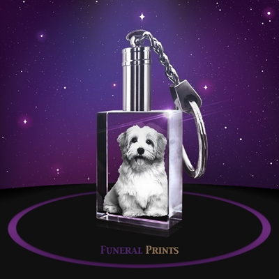 Show details for 2D Crystal Keychain - PHOTO ONLY