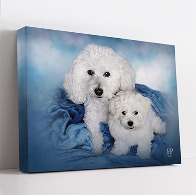 Show details for Wrapped Canvas Memorial Portrait - Beloved Dog with Choice of Backgrounds