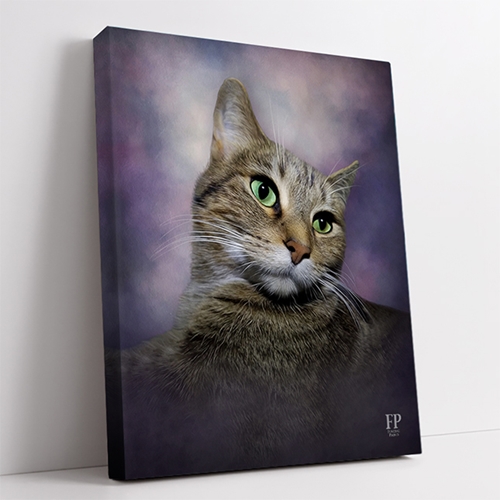 Show details for Wrapped Canvas Memorial Portrait - Curious Cat with Studio Background Show details for Wrapped Canvas Memorial Portrait - Curious Cat with Studio Background