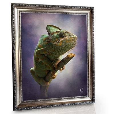 Show details for Framed Memorial Portrait - Serene Lizard with Choice of Backgrounds