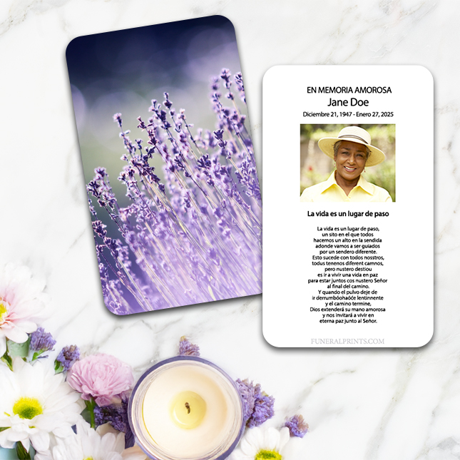 Show details for Lavender Lights Spanish Prayer Card