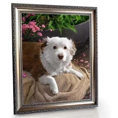 Show details for Framed Memorial Portrait - Beloved Dog with Choice of Backgrounds